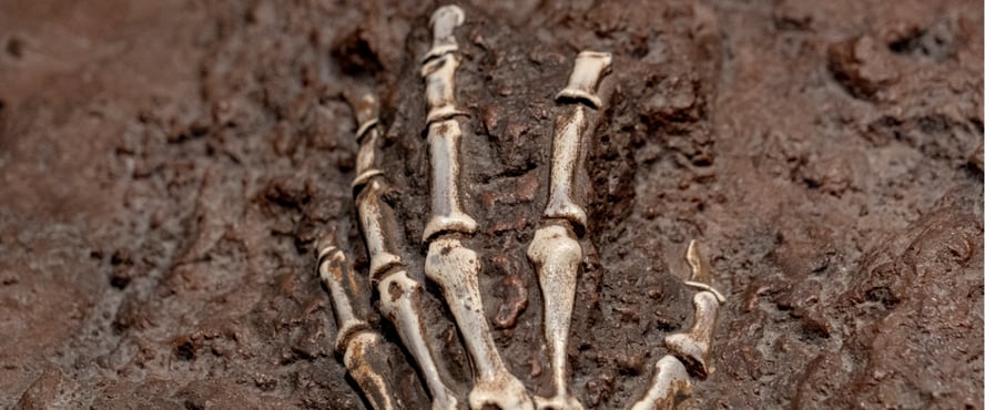 Asite_Blog_5_Terrifying_Tales_from_the_Construction_Site_Skeleton_Hand