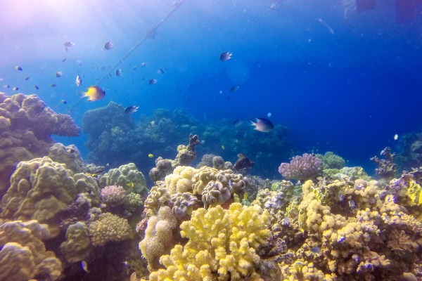 Sea Development Top 5 Tourism Construction Projects in the Middle East