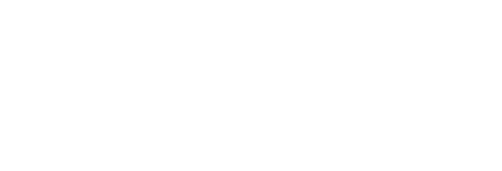 Skanska-white-logo