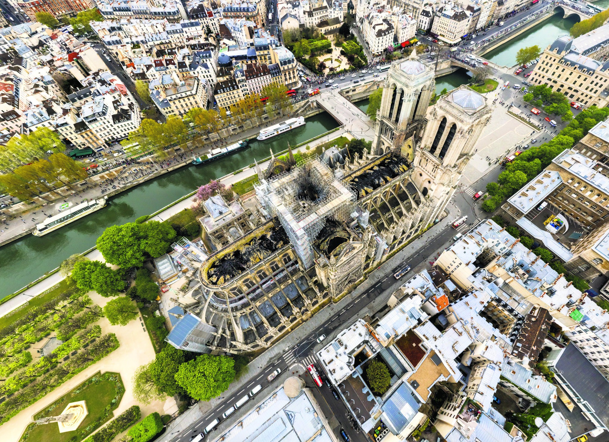 Adoddle Wants to Help Rebuild Notre Dame - the Heart of France